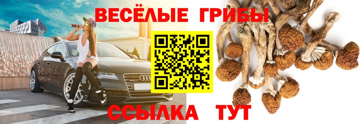 Уфа  Галлюциногенные грибы GOLDEN TEACHER  Вход с VPN 